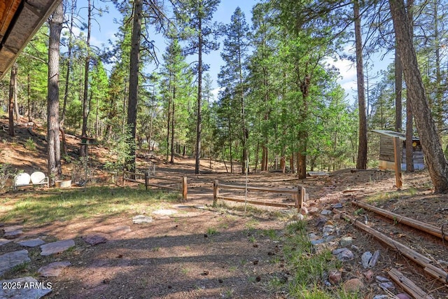 197 S Hiscox Ln, Payson, AZ 85541 - view of yard