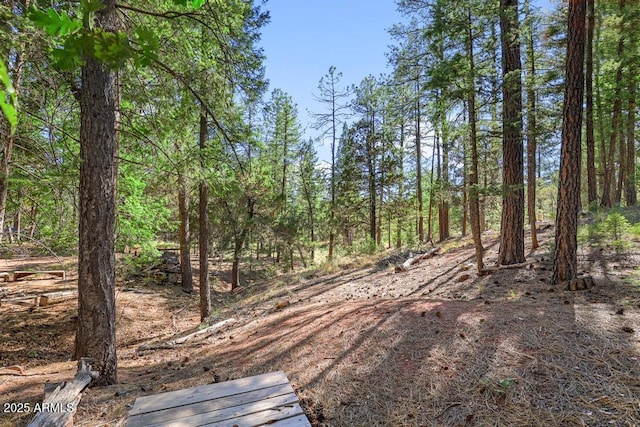197 S Hiscox Ln, Payson, AZ 85541 - view of street