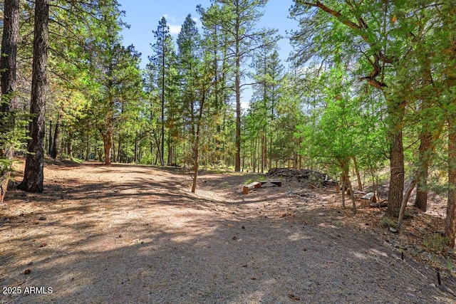 197 S Hiscox Ln, Payson, AZ 85541 - view of road with a view of trees