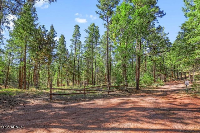 197 S Hiscox Ln, Payson, AZ 85541 - view of dirt / gravel road featuring a view of trees