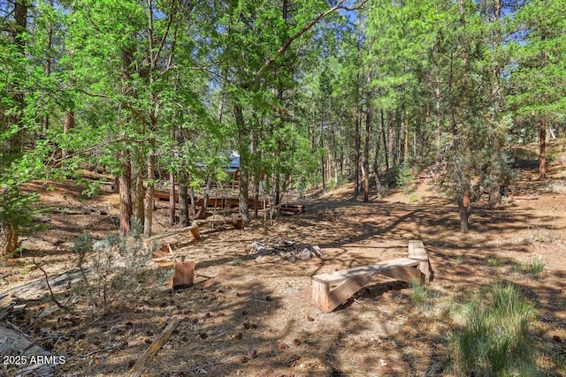 197 S Hiscox Ln, Payson, AZ 85541 - view of local wilderness