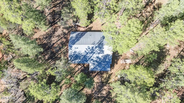197 S Hiscox Ln, Payson, AZ 85541 - view of subject property