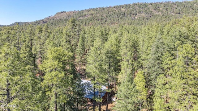 197 S Hiscox Ln, Payson, AZ 85541 - bird's eye view of a forest and a mountain backdrop