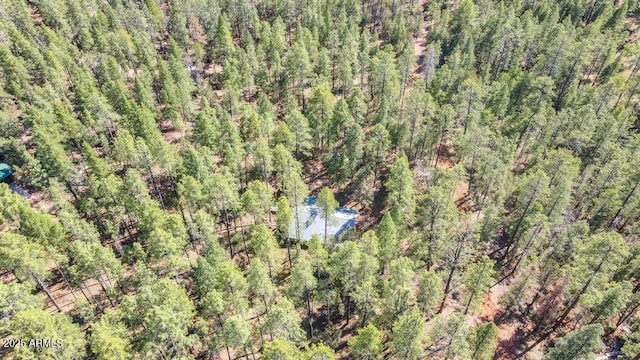 197 S Hiscox Ln, Payson, AZ 85541 - bird's eye view of a forest