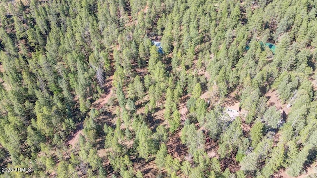 197 S Hiscox Ln, Payson, AZ 85541 - bird's eye view of a forest