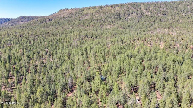 197 S Hiscox Ln, Payson, AZ 85541 - mountain view with a heavily wooded area