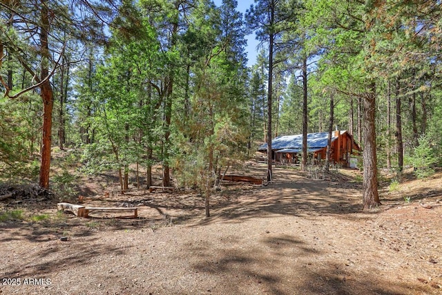 197 S Hiscox Ln, Payson, AZ 85541 - view of yard