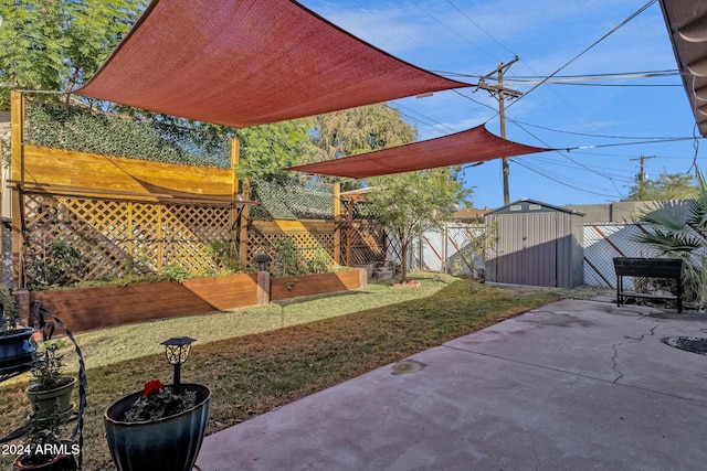 view of yard with a patio area and a shed