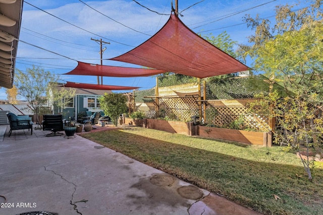 view of yard featuring a patio area