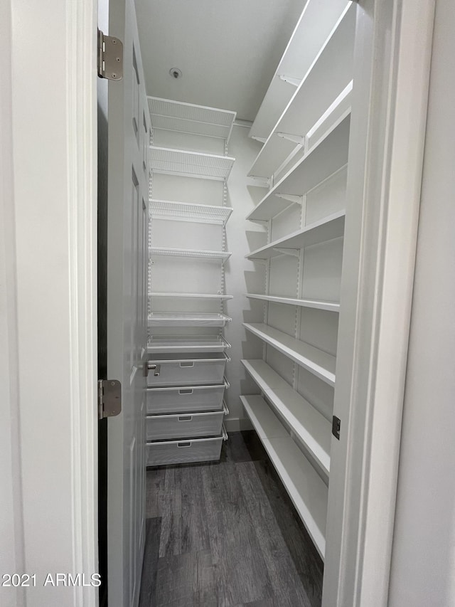 walk in closet with dark hardwood / wood-style flooring