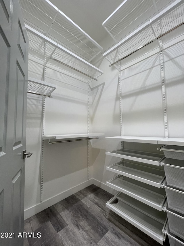 walk in closet featuring dark hardwood / wood-style flooring