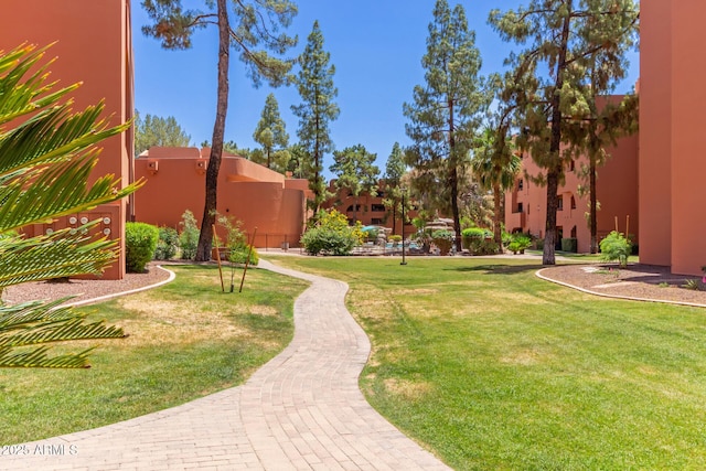 12222 N Paradise Village Pkwy S Unit 237, Phoenix, AZ 85032 - view of grassy yard