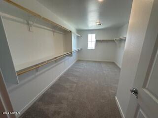 walk in closet with carpet flooring