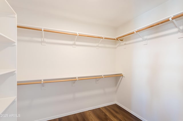 walk in closet featuring dark hardwood / wood-style flooring