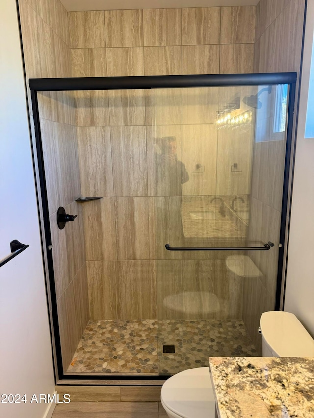 bathroom featuring vanity, a shower with shower door, and toilet