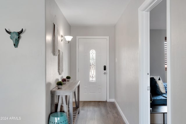 entrance foyer with light hardwood / wood-style flooring