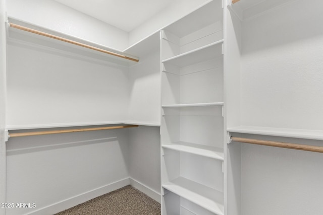 1408 E Carson Rd, Phoenix, AZ 85042 - walk in closet with carpet floors