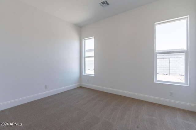 view of carpeted spare room