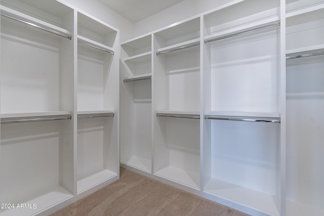 spacious closet with light carpet