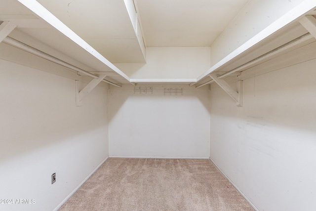 walk in closet featuring light colored carpet