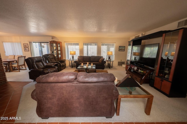 1147 Pedro Ct, Rio Rico, AZ 85648 - carpeted living room featuring a textured ceiling