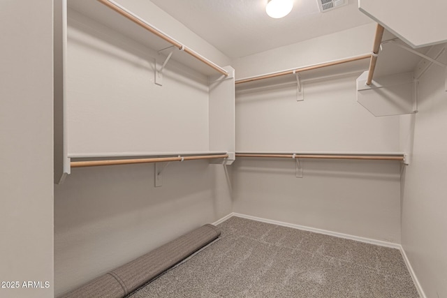 walk in closet featuring carpet floors