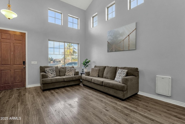 living room featuring hardwood / wood-style flooring, a healthy amount of sunlight, and a high ceiling