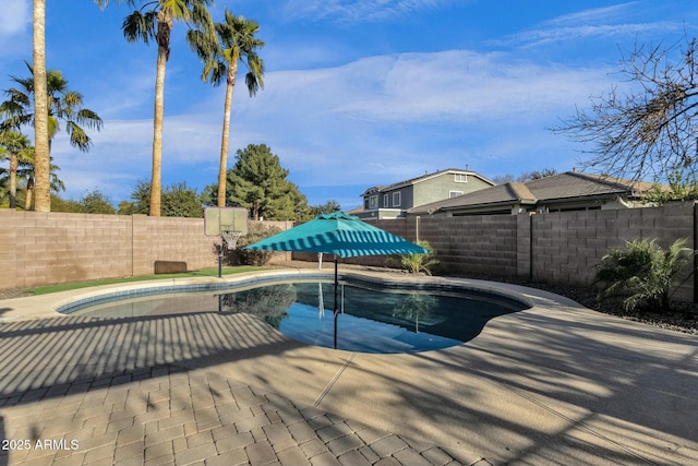 view of pool featuring a patio