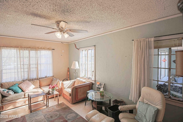 living room with a textured ceiling, ceiling fan, and ornamental molding