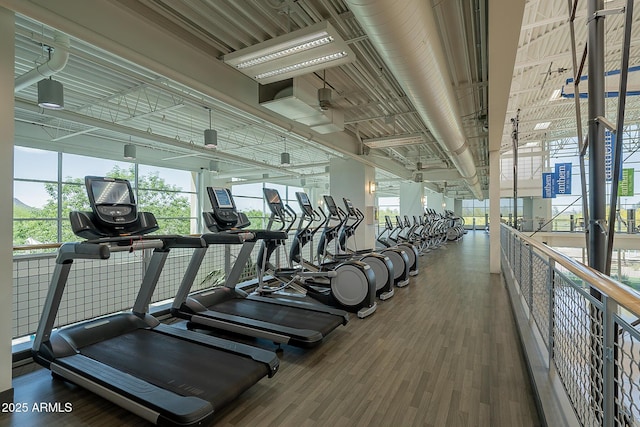 exercise room featuring wood-type flooring