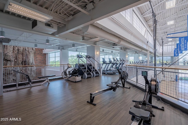 exercise room featuring a high ceiling, wood-type flooring, and a wall of windows