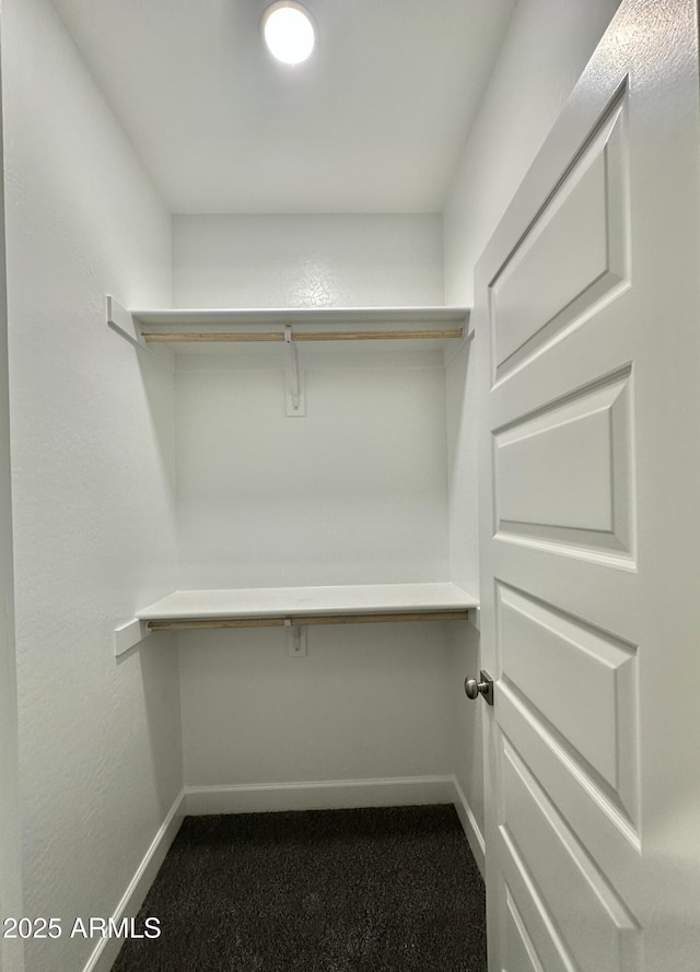 walk in closet with dark colored carpet