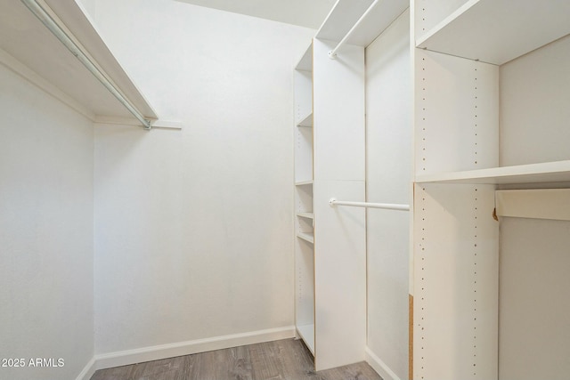 walk in closet with hardwood / wood-style flooring