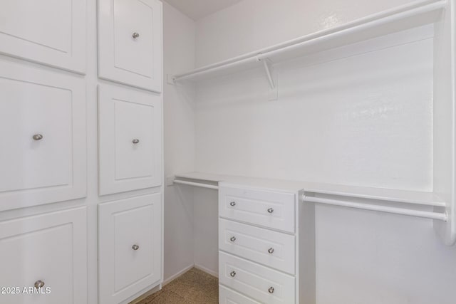 walk in closet with light carpet