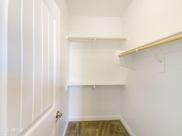 walk in closet with carpet floors