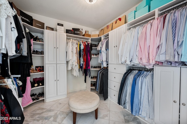 1834 W Nighthawk Way, Phoenix, AZ 85045 - walk in closet featuring lofted ceiling