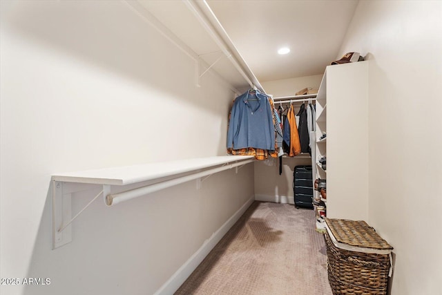 walk in closet featuring carpet flooring