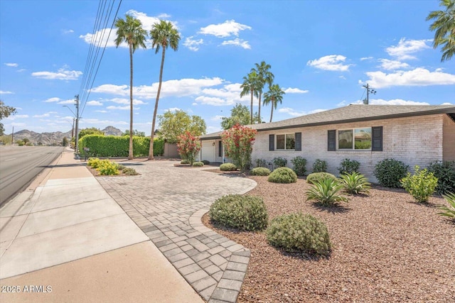 ranch-style house with brick siding and driveway