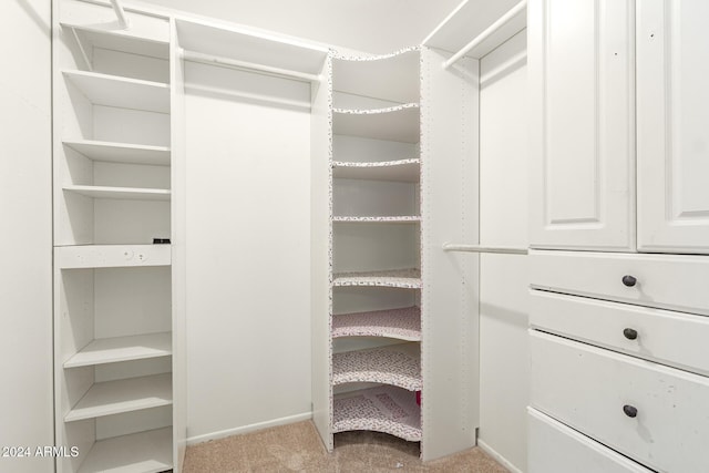 walk in closet featuring light colored carpet