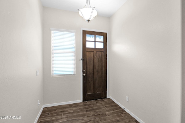 foyer with dark hardwood / wood-style flooring