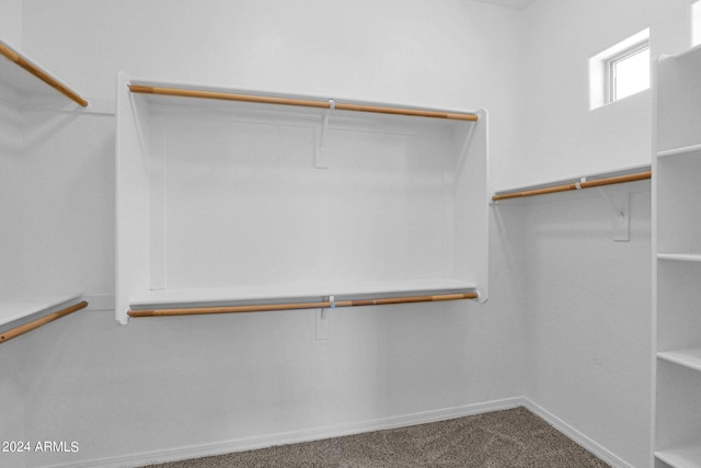 walk in closet featuring carpet flooring