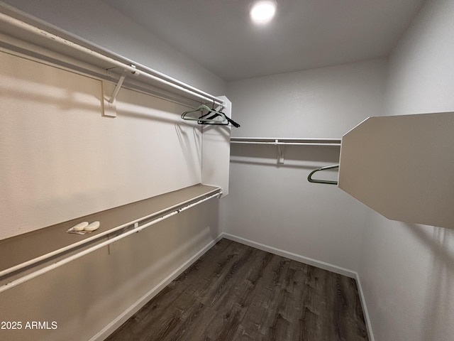 spacious closet with dark wood-type flooring