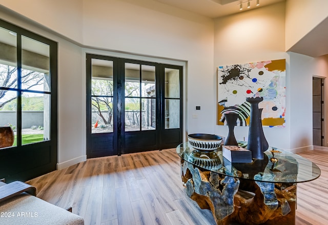 foyer entrance featuring hardwood / wood-style flooring