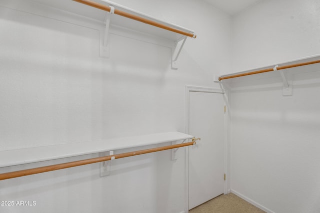 walk in closet with light carpet