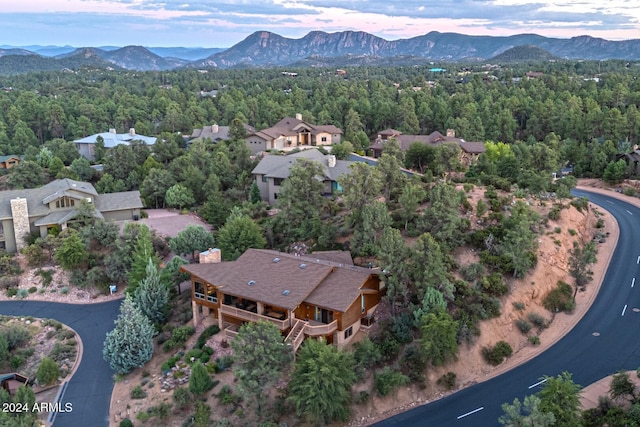 drone / aerial view featuring a mountain view