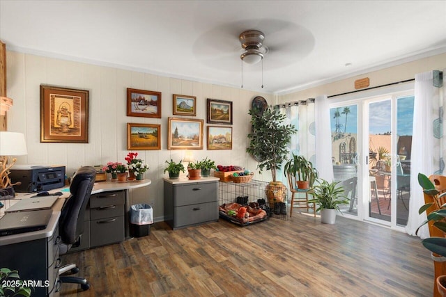 office area with ceiling fan and dark hardwood / wood-style flooring