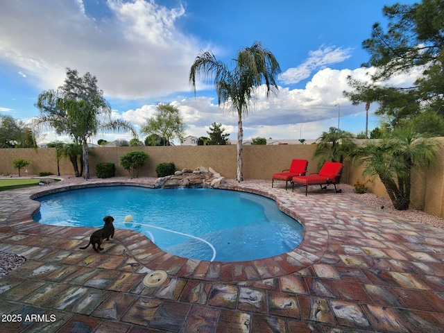 view of swimming pool featuring a patio