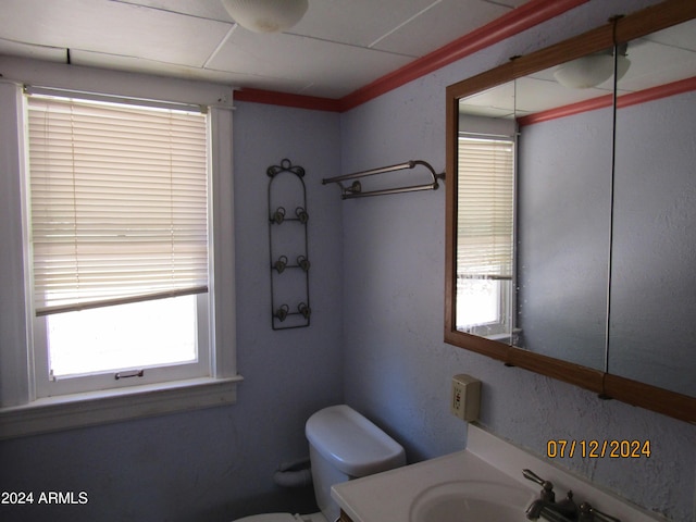 60 Wood Cyn, Bisbee, AZ 85603 - bathroom featuring a wealth of natural light, toilet, and vanity