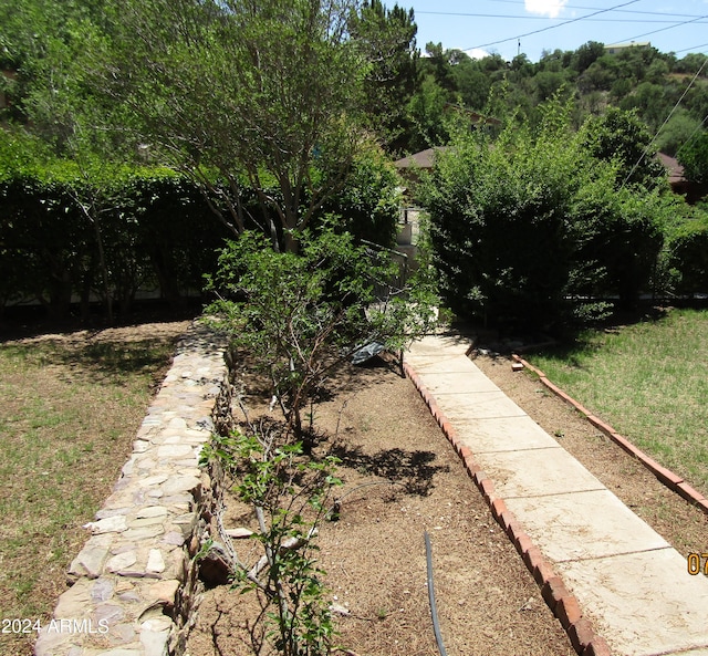60 Wood Cyn, Bisbee, AZ 85603 - view of yard