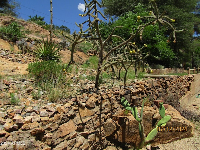 60 Wood Cyn, Bisbee, AZ 85603 - view of nature